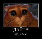 Фотография Ганеева Антона