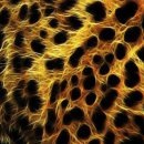 Ігор Шутурма фотография #12 (источник - https://vk.com/id122805674)