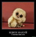 Фотография Анастасия Серт