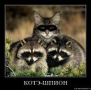 Ірина Биць фотография #41 (источник - https://vk.com/id133803554)