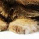 Віта Сердюк-Леута фотография #49 (источник - https://vk.com/id68379910)