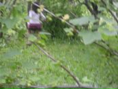 Настя Ефименкова фотография #40 (источник - https://vk.com/id121857092)