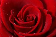 Фотография Меркуловой Оксаны