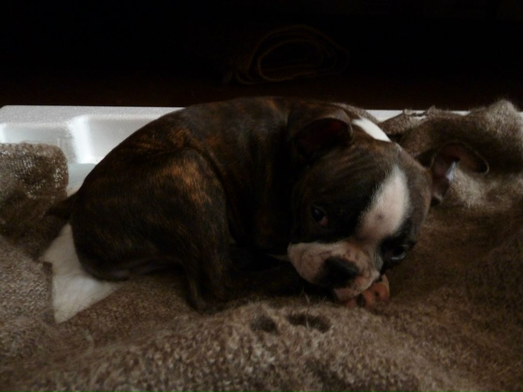 Дмитрий Павличенко фотография #46