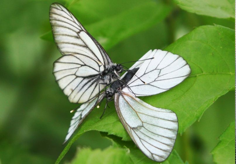 Дмитрий Бондаренко фотография #50