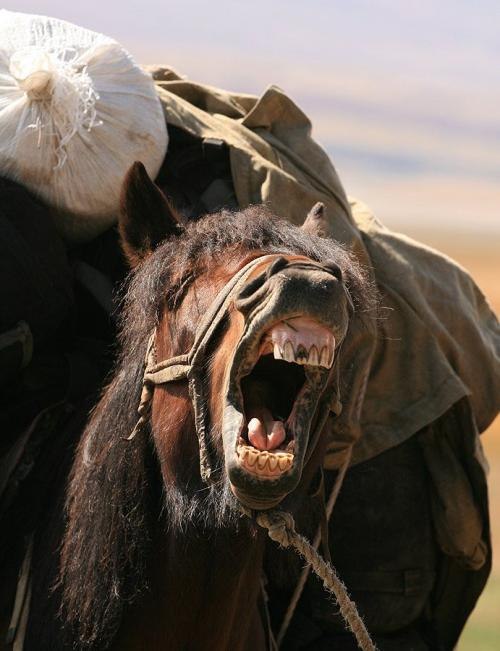 Иван Иванкин фотография #32