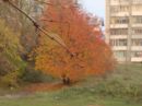 Вікуся Свищ фотография #11 (источник - https://vk.com/id120162107)