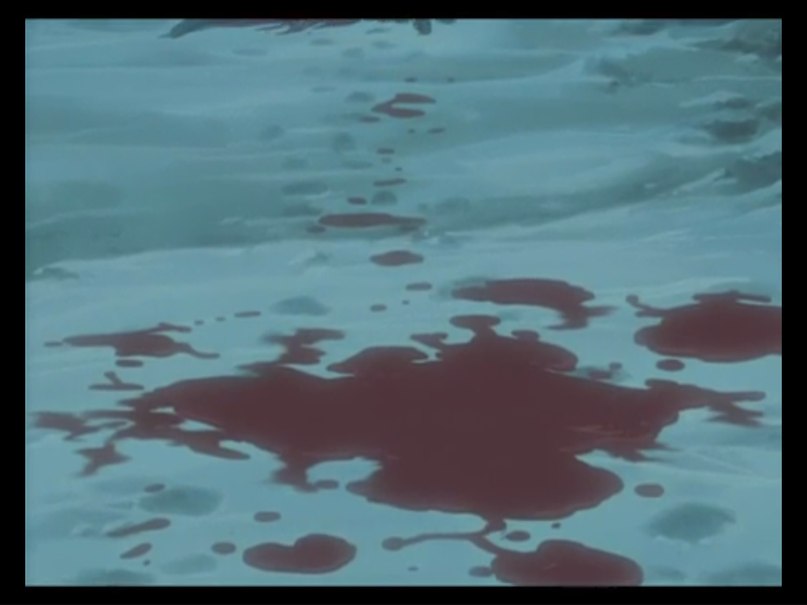 Хиге Wolf фотография #39