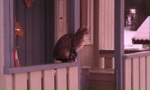 Антон Устюгов фотография #35 (источник - https://vk.com/id835167)