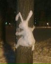 Надя Білка фотография #14 (источник - https://vk.com/id79277279)