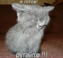 Вадім Климович фотография #44 (источник - https://vk.com/id154648110)