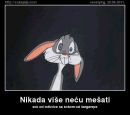 Радивоје Булатовић фотография #1