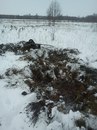 Андрій Стельмах фотография #25 (источник - https://vk.com/id137825577)