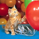 Фотография Виноградовой Елены