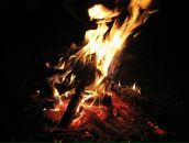 Фотография Прохорова Владимира