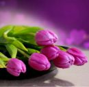 Світлана Лепка фотография #10 (источник - https://vk.com/id163346577)