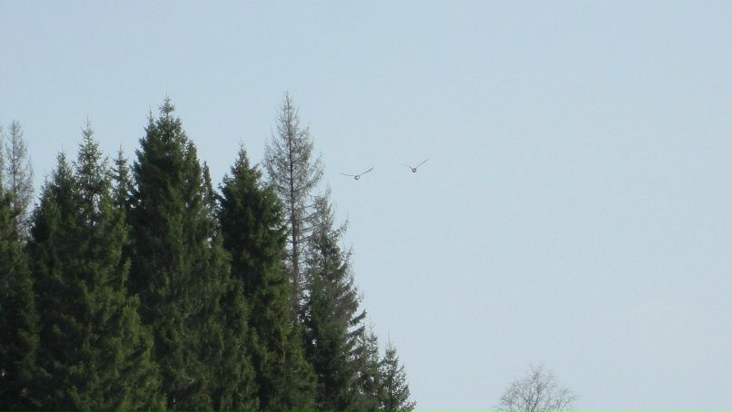 Сергей Рылов фотография #24