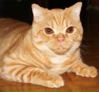 Мария Красная фотография #3 (источник - https://vk.com/id4009431)