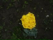 Сергій Дудін фотография #42 (источник - https://vk.com/id60860149)