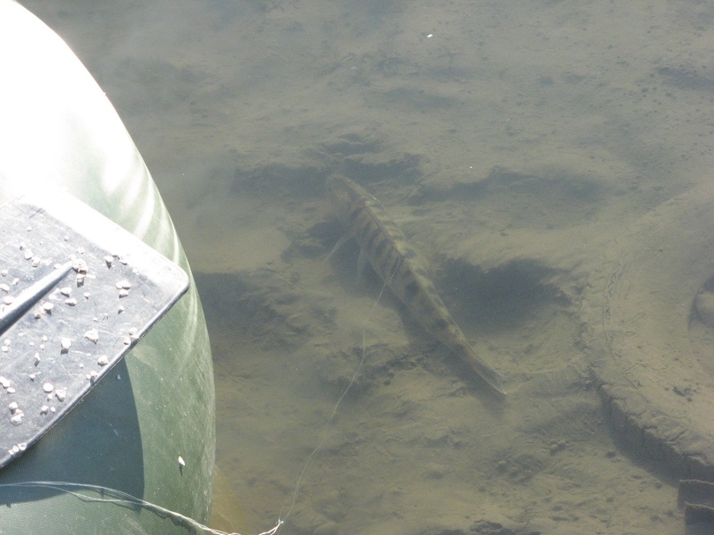 Сергей Тараскин фотография #43