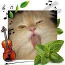 Светик Александрова фотография #31 (источник - https://vk.com/id890244)