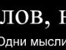Міша Міша фотография #2 (источник - https://vk.com/id153200084)