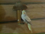 Сергей Богачев фотография #6 (источник - https://vk.com/id60253868)