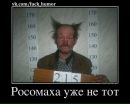 Коля Голіней фотография #4 (источник - https://vk.com/id132075527)