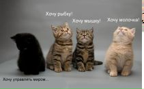 Фотография Федорищевой Юлии