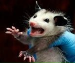 Фотография Мельник Натальи