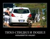 Денис Цветков фотография #6 (источник - https://vk.com/id2893261)