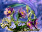 Фотография Дручина Сергея