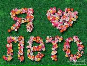 Фотография Чунихиной Анастасии