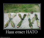 Антон Васильев фотография #48 (источник - https://vk.com/id2006357)