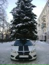 Фотография Белозерцевой Дарьи