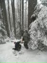 Юрій Левицький фотография #5 (источник - https://vk.com/id49381580)