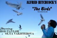 Фотография Ванюгиной Ольги