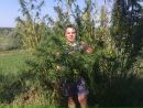 Богдан Лозіцький фотография #49 (источник - https://vk.com/id137306060)