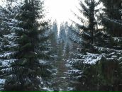 Рома Стасік фотография #37 (источник - https://vk.com/id56516916)