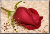 Свєта Кухар фотография #35 (источник - https://vk.com/id145556214)