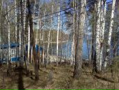 Сергей Максимов фотография #41 (источник - https://vk.com/id5258646)