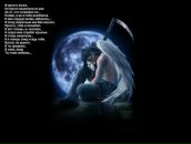 Фотография Станкевича Валерия