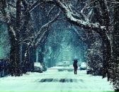 Фотография Заевой Владлены