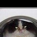 Вітя Лайщук фотография #34 (источник - https://vk.com/id134923699)