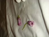 Ната Радик фотография #49 (источник - https://vk.com/id7505127)