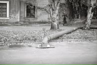 Богдан Думіч фотография #50 (источник - https://vk.com/id27721444)