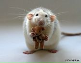 Фотография Антиповой Майи