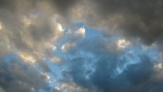 Фотография Бродской Стефании