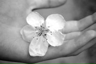 Фотография Куличенко Дарьи