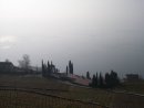Рома Чеховской фотография #23 (источник - https://vk.com/id1669147)